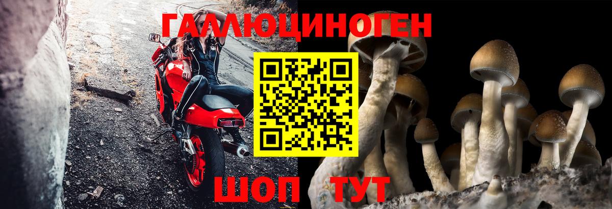 Псилоцибиновые грибы Magic Shrooms  Вход с VPN  наркота  Ноябрьск  Псилоцибиновые грибы мицелий 
