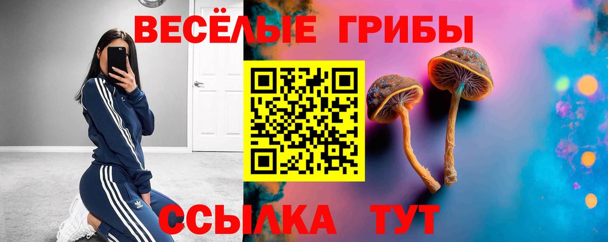 Галлюциногенные грибы GOLDEN TEACHER Ноябрьск